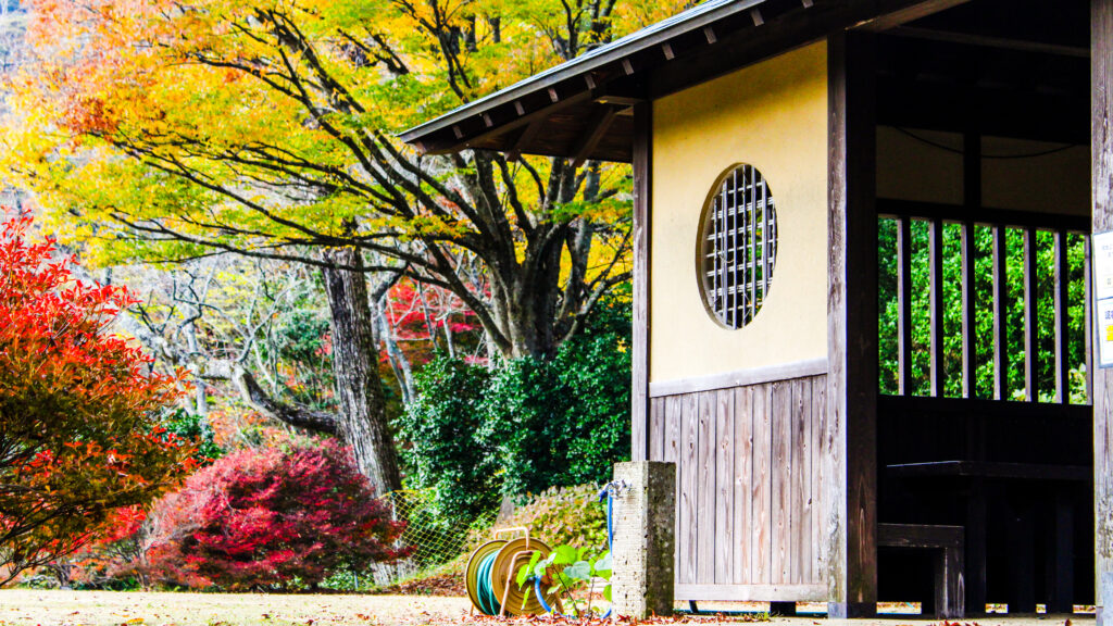 自然文化園の紅葉